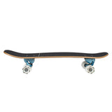 Carver Skateboards - 31.75" Enigma - CX Complete