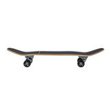 32" Sun Ray C5 Complete - Carver Skateboards UK