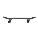 32" Sun Ray C5 Complete - Carver Skateboards UK