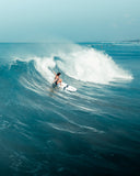Newave - 7'6'' Mini-Mal + 9'0'' Longboard + Free Boardbag